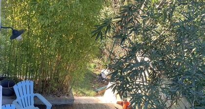 Loue 1 grand T2/3, au cĆur de DAX, avec terrasse.
Animaux acceptés! Tout à pied.