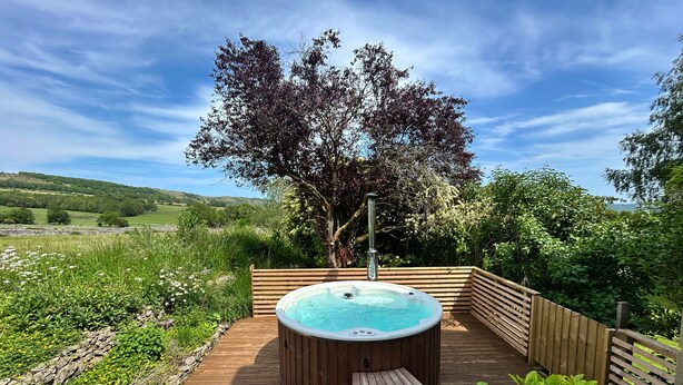 Una terraza de madera con un jacuzzi rodeado de follaje y un árbol.