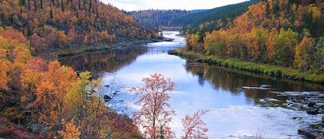 A river flowing through a forested valley with autumn foliage.