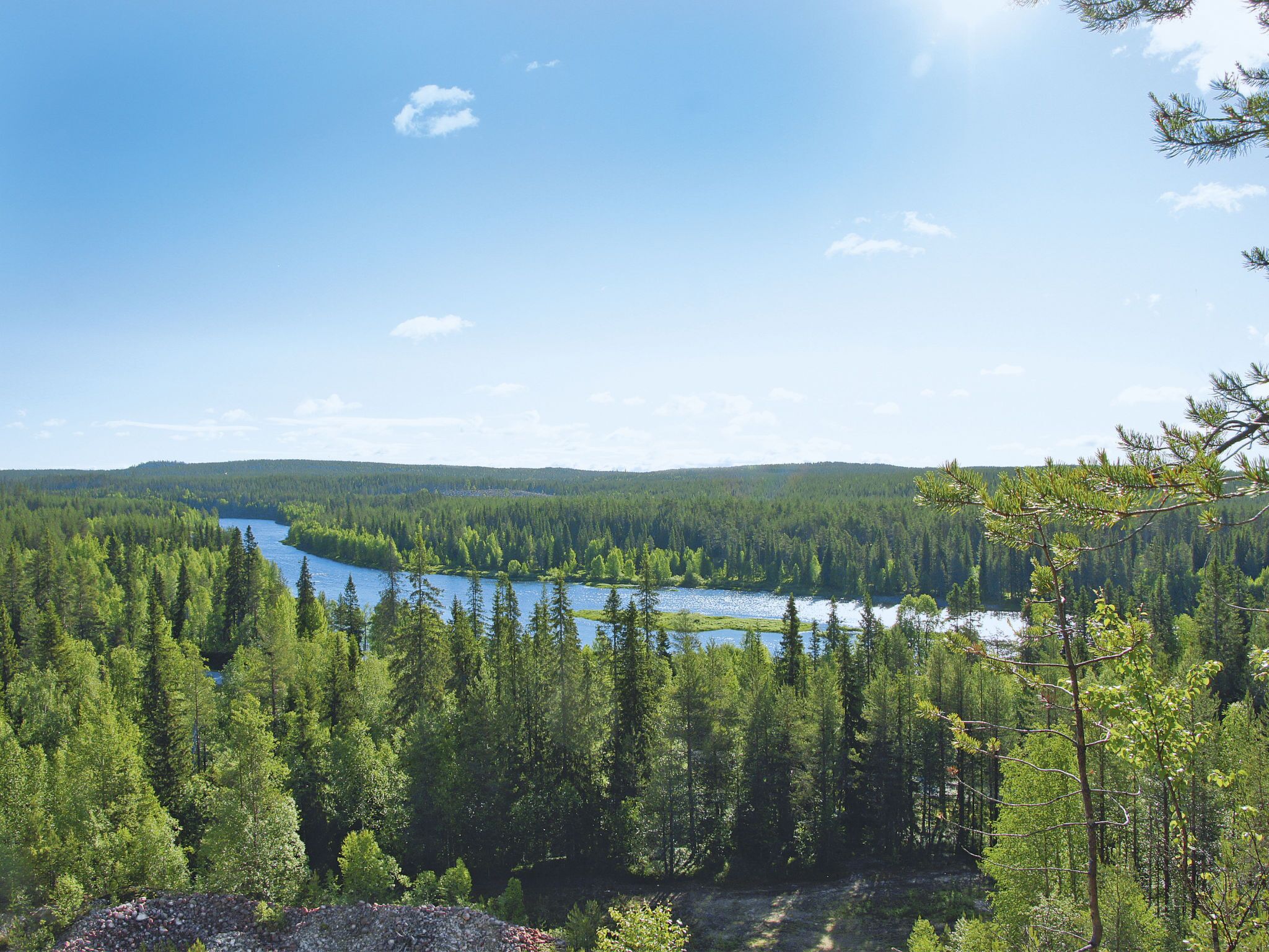 Un paysage boisé avec un lac et des montagnes à l’horizon.
