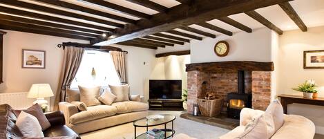 تلفزيون ذكي، مدفأة، مشغل دي في دي