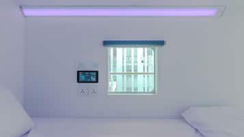 earth single | Desk, laptop workspace, soundproofing, free WiFi