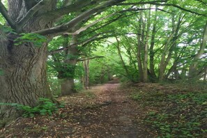 Miscellaneous - Lakeside Living with Garden (Goldberg)