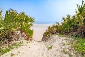Caminho de areia que leva ao oceano, cercado por vegetação verde exuberante.