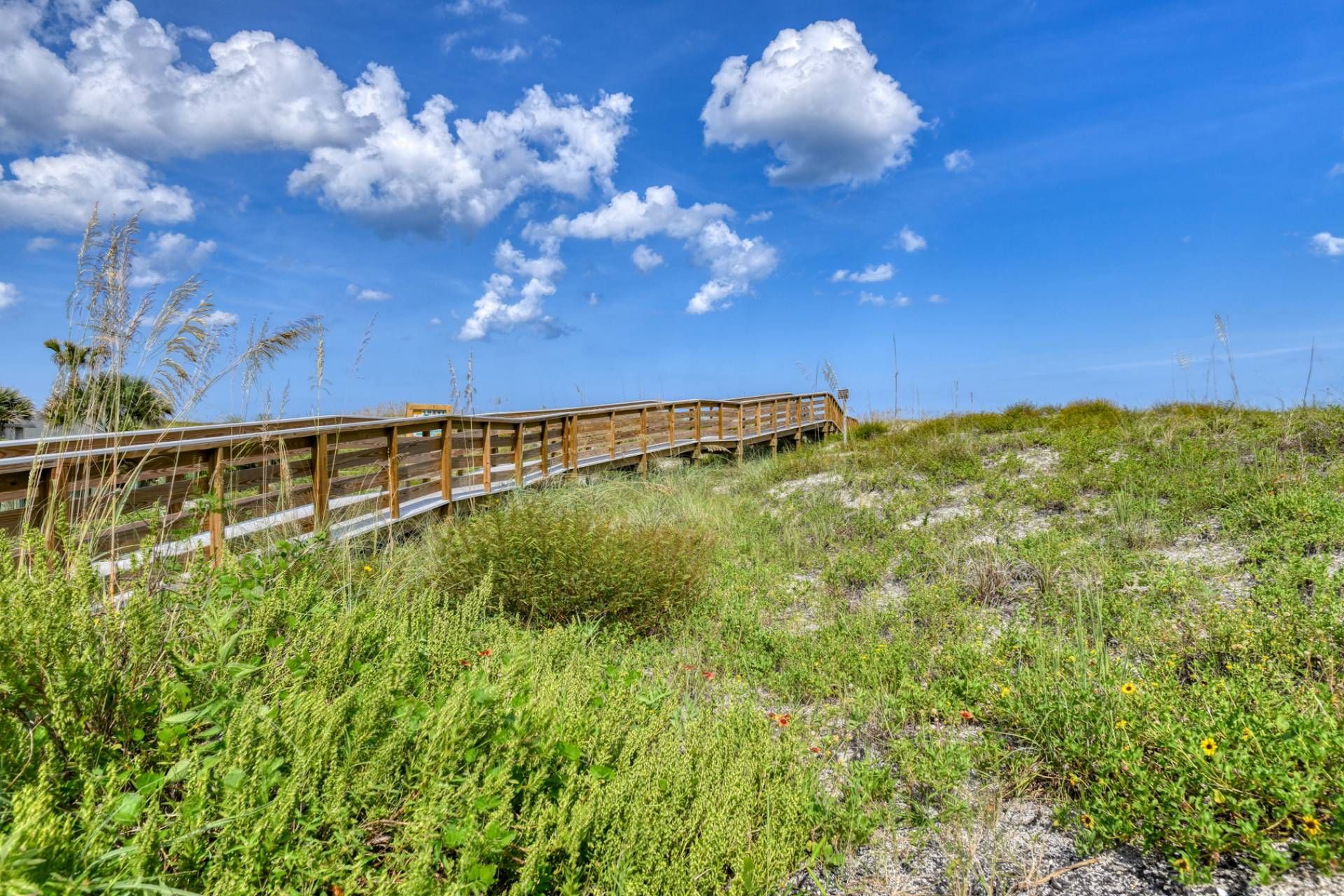 A wooden boardwalk leading through a grassy area with wildflowers and tall grasses.