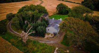 Historic Renovated Cottage: Wild Atlantic Way