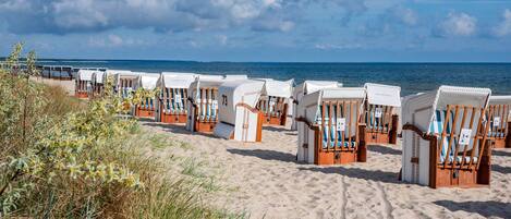 Beach chairs lined up on a sandy beach with a view of the sea.