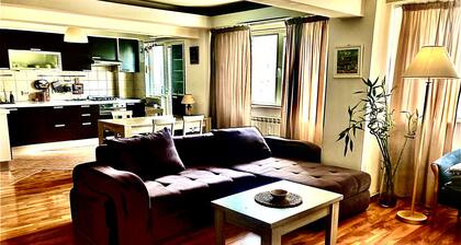 Spacious apartment in central neighbourhood