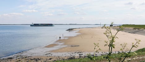 海滩