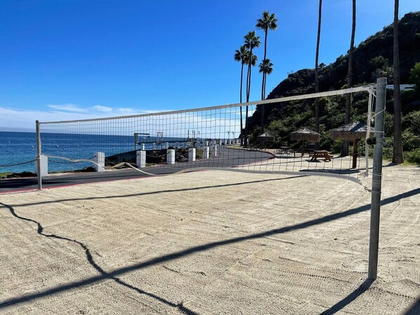 A beach volleyball court with a net, palm trees, and a view of the ocean.