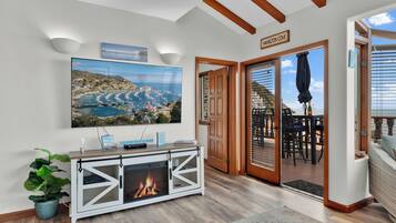 TV connectée, cheminée, lecteur de DVD, livres