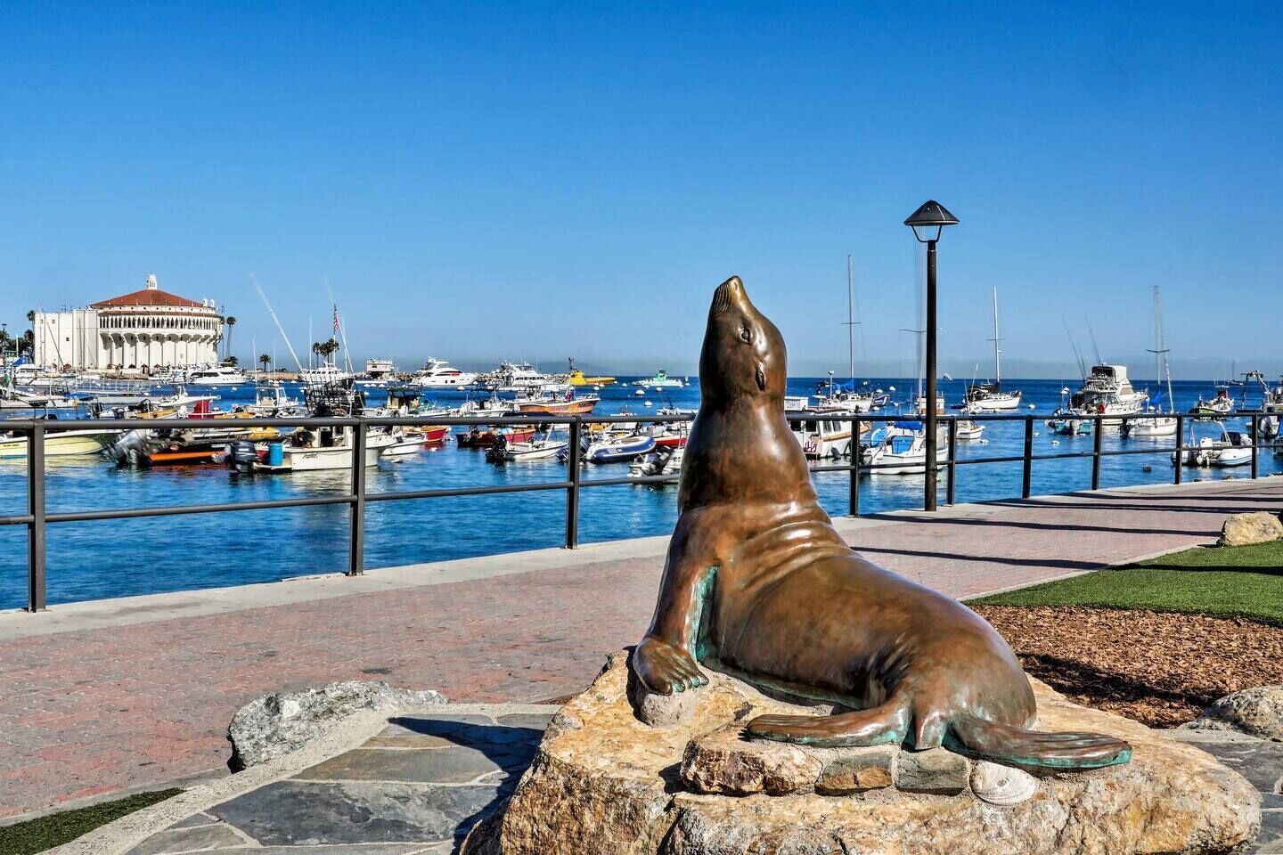 A harbor with boats, a statue of a sea lion, and a building with a red roof.