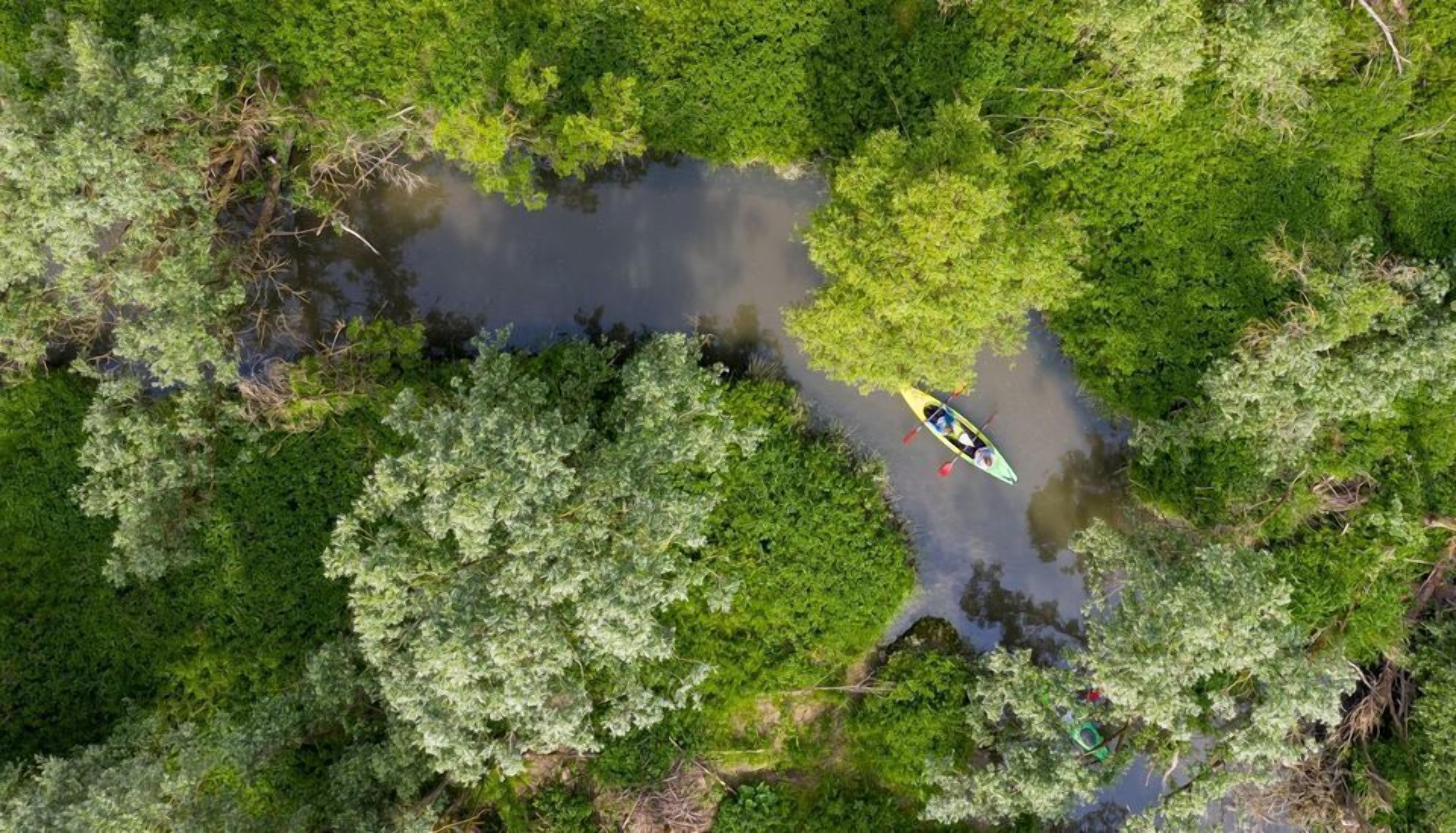 Foto - Hotel Restaurant 't Trefpunt