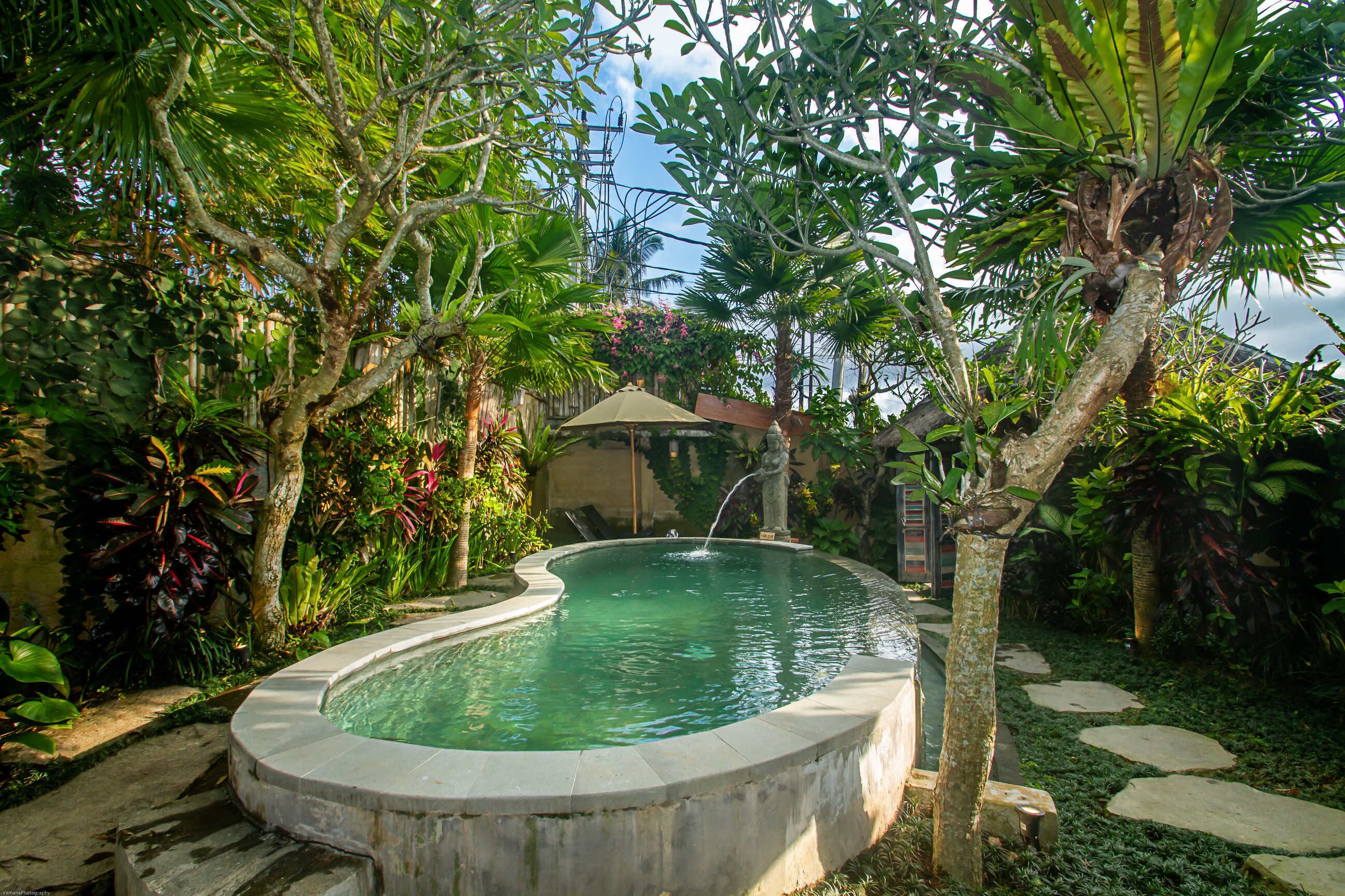A swimming pool surrounded by lush greenery and a stone pathway.