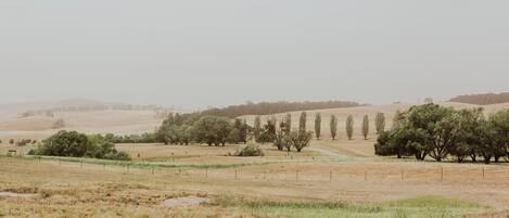 A rural landscape with fields, trees, and a fence.