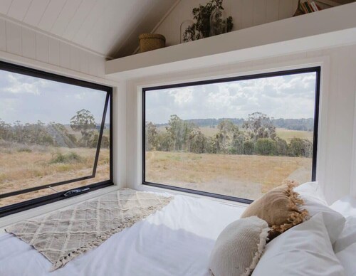 Tiny Daisy Summary:<br>R