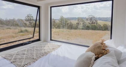 Tiny Daisy Summary:<br>R