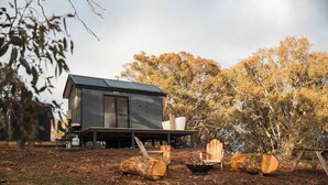 A modern cabin with a flat roof, surrounded by trees and logs.