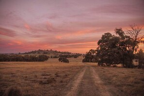 Miscellaneous - Tiny Max - Daylesford & The Macedon Ranges (Merton)