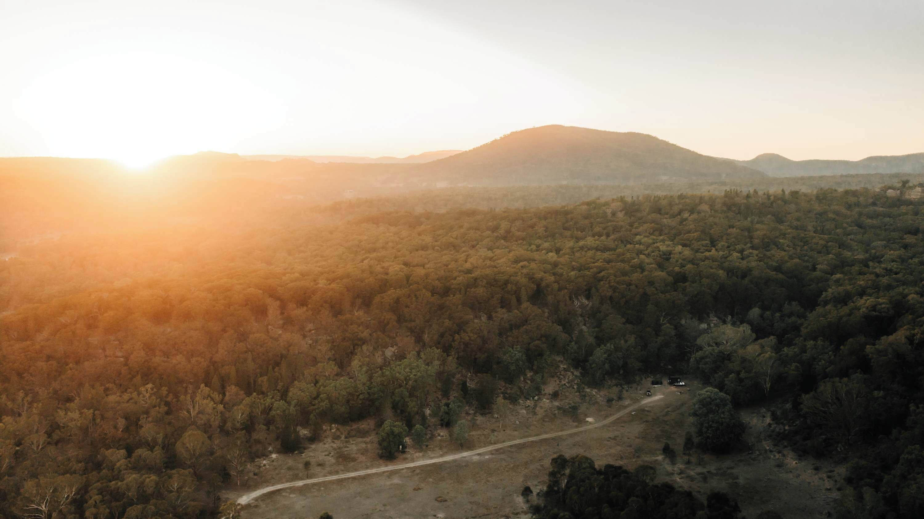 A forested landscape with a road and a mountain in the background.