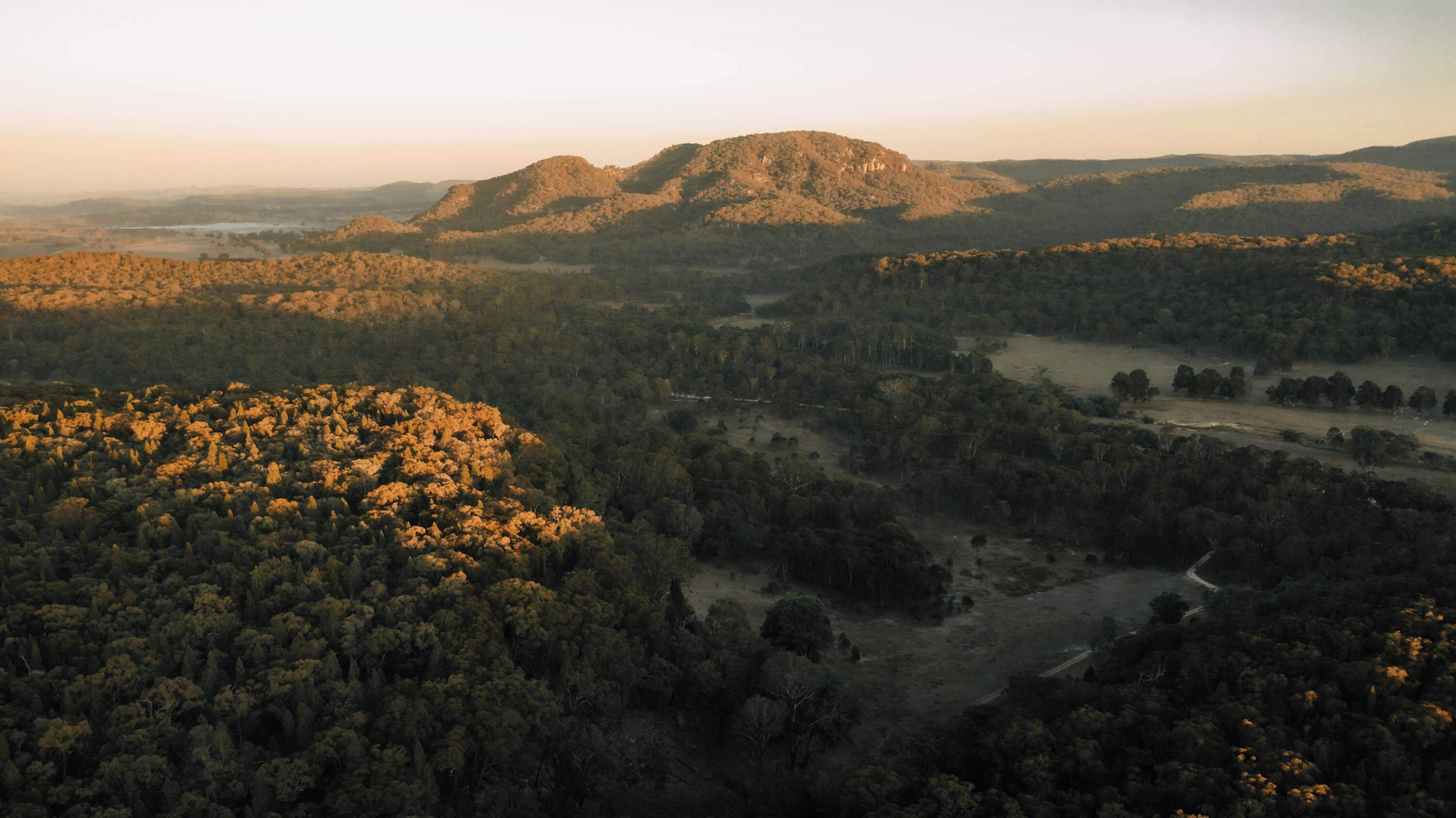 A forested landscape with rolling hills and a dirt road.