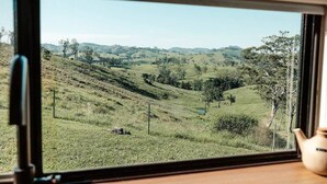 A view through a window of a rural landscape with rolling hills, sparse trees, and a fence. - Tiny Mowgli Summary: (Bulliac)