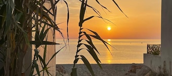 Cozy 1BR Apt for 4, Near Beach & Shops, Pet-Friendly