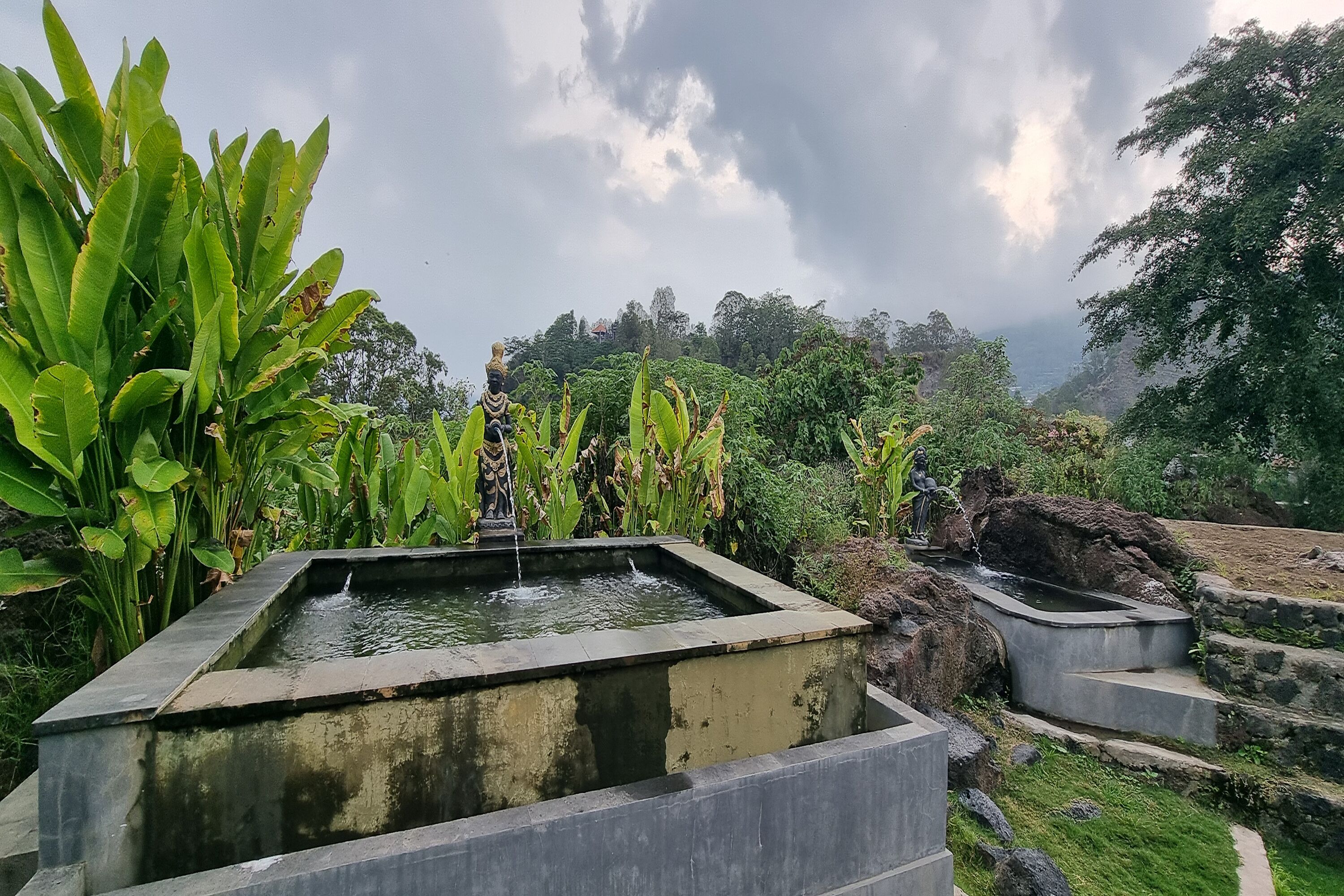 Natural pool