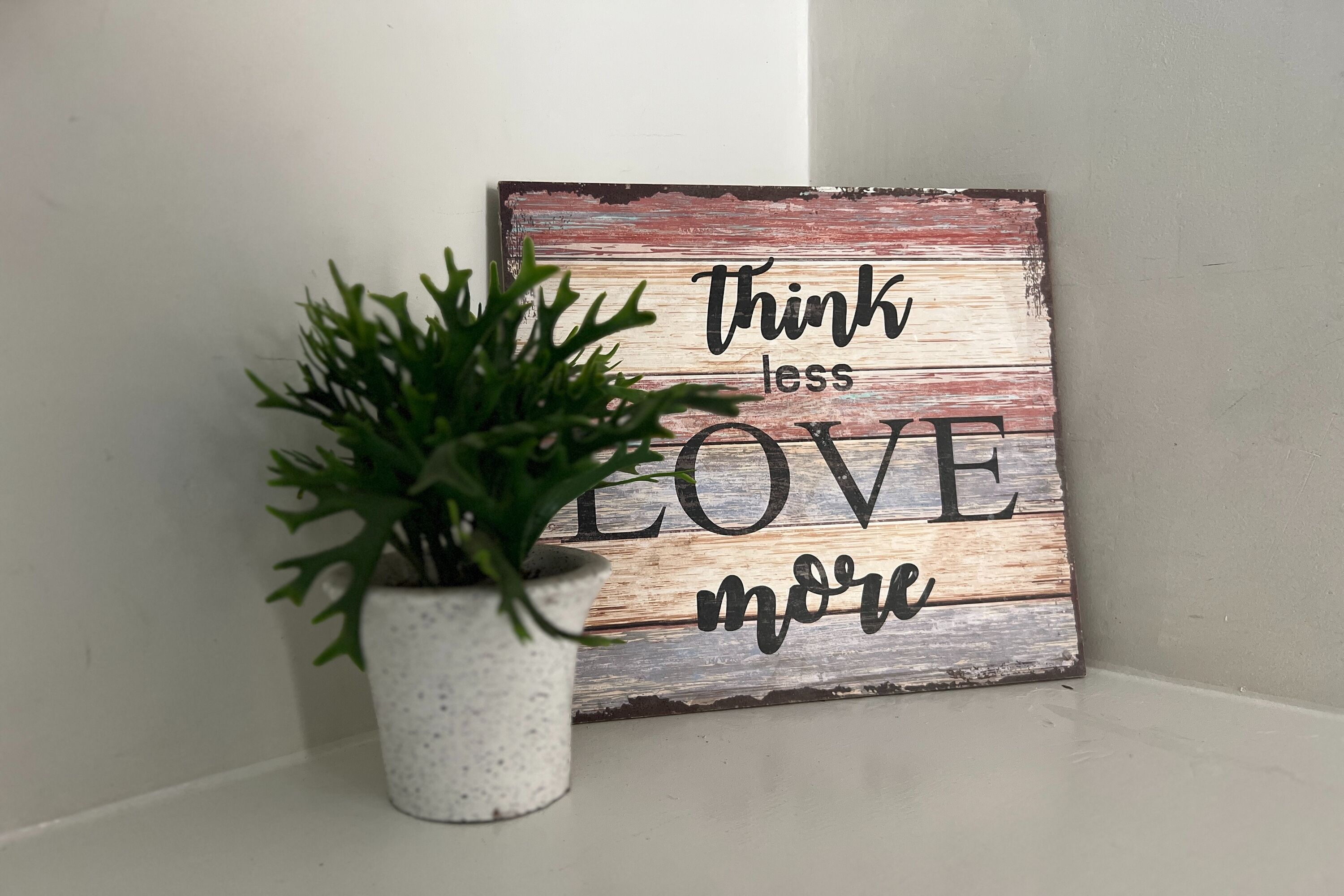 A rustic wooden sign with the phrase "Think less LOVE more" alongside a potted plant.