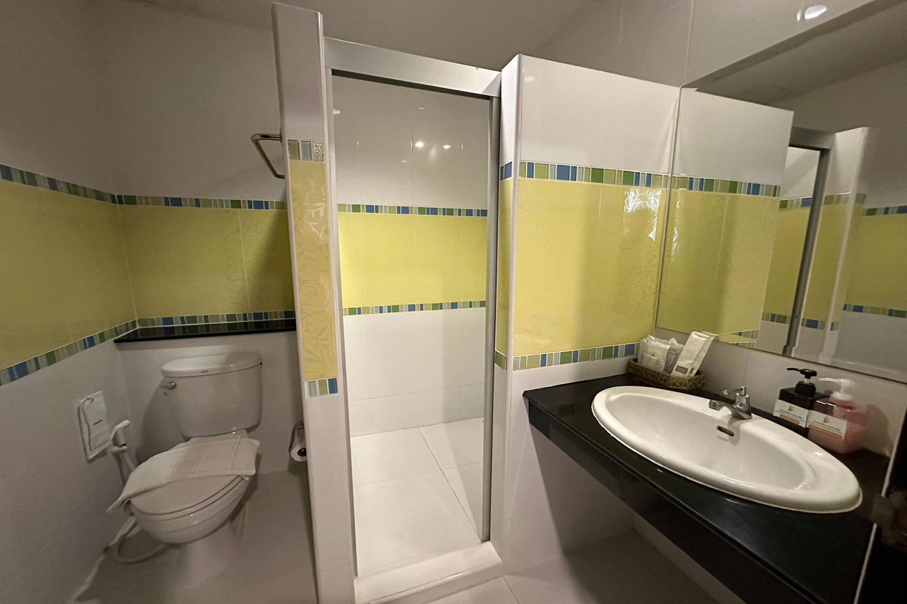 Une salle de bain comprenant des toilettes, un lavabo et une douche.