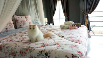 Desk, free WiFi, bed sheets