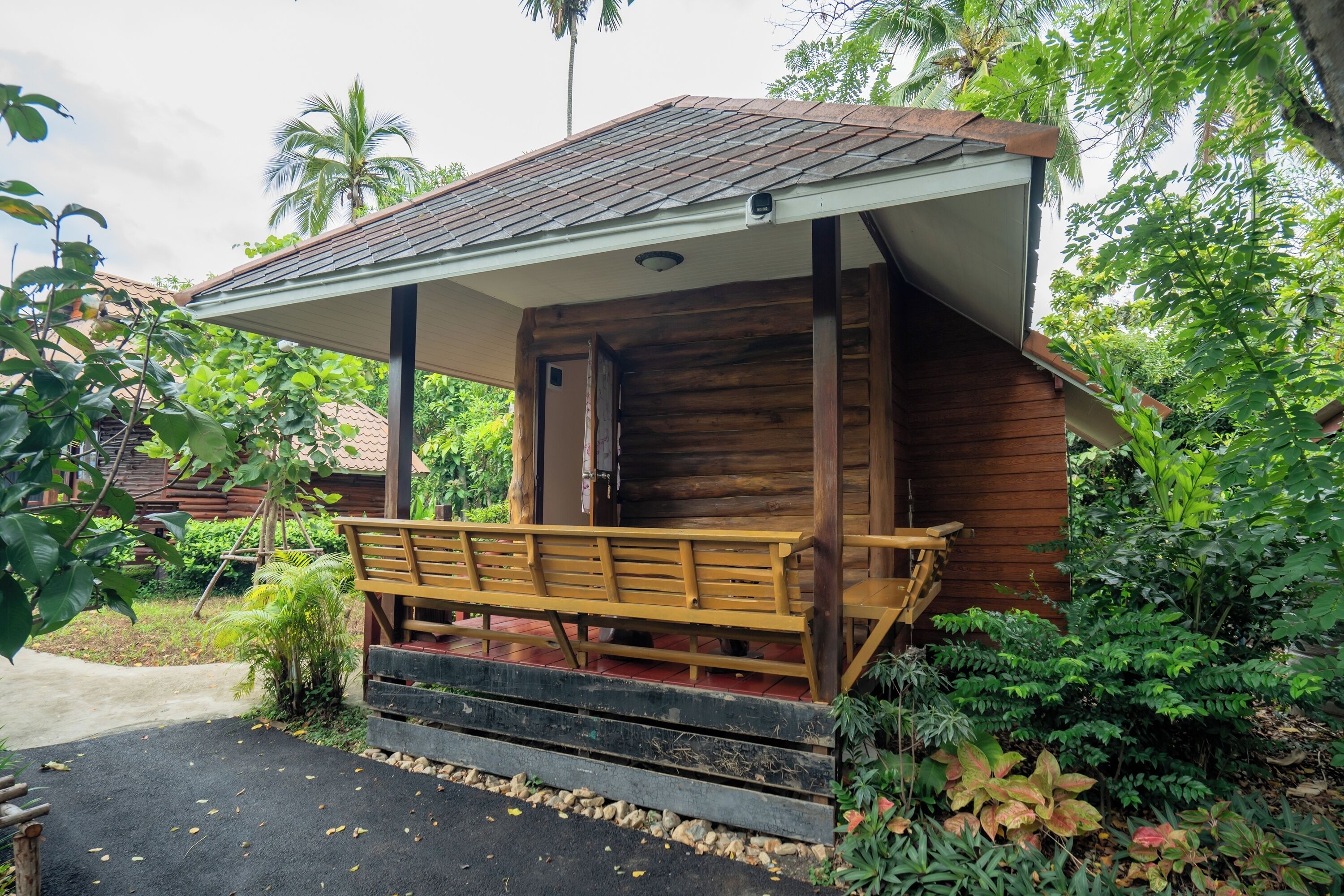 A wooden cabin with a porch, surrounded by lush greenery and a palm tree.