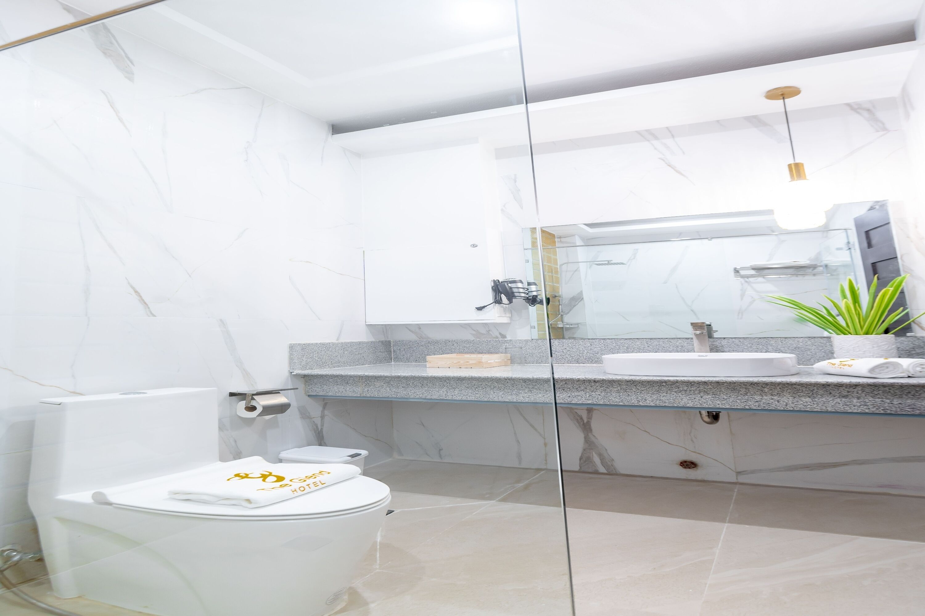 A modern bathroom with a glass shower enclosure, a white toilet, and a granite countertop with a sink and mirror.