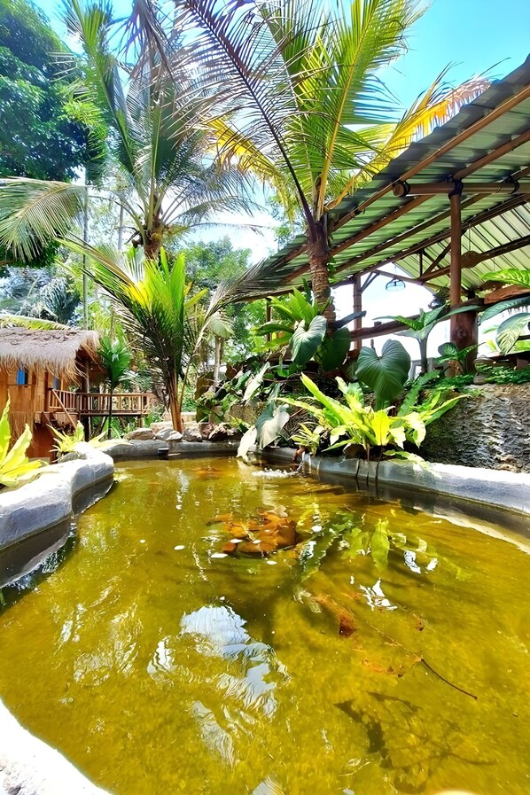 Pemandangan dari properti