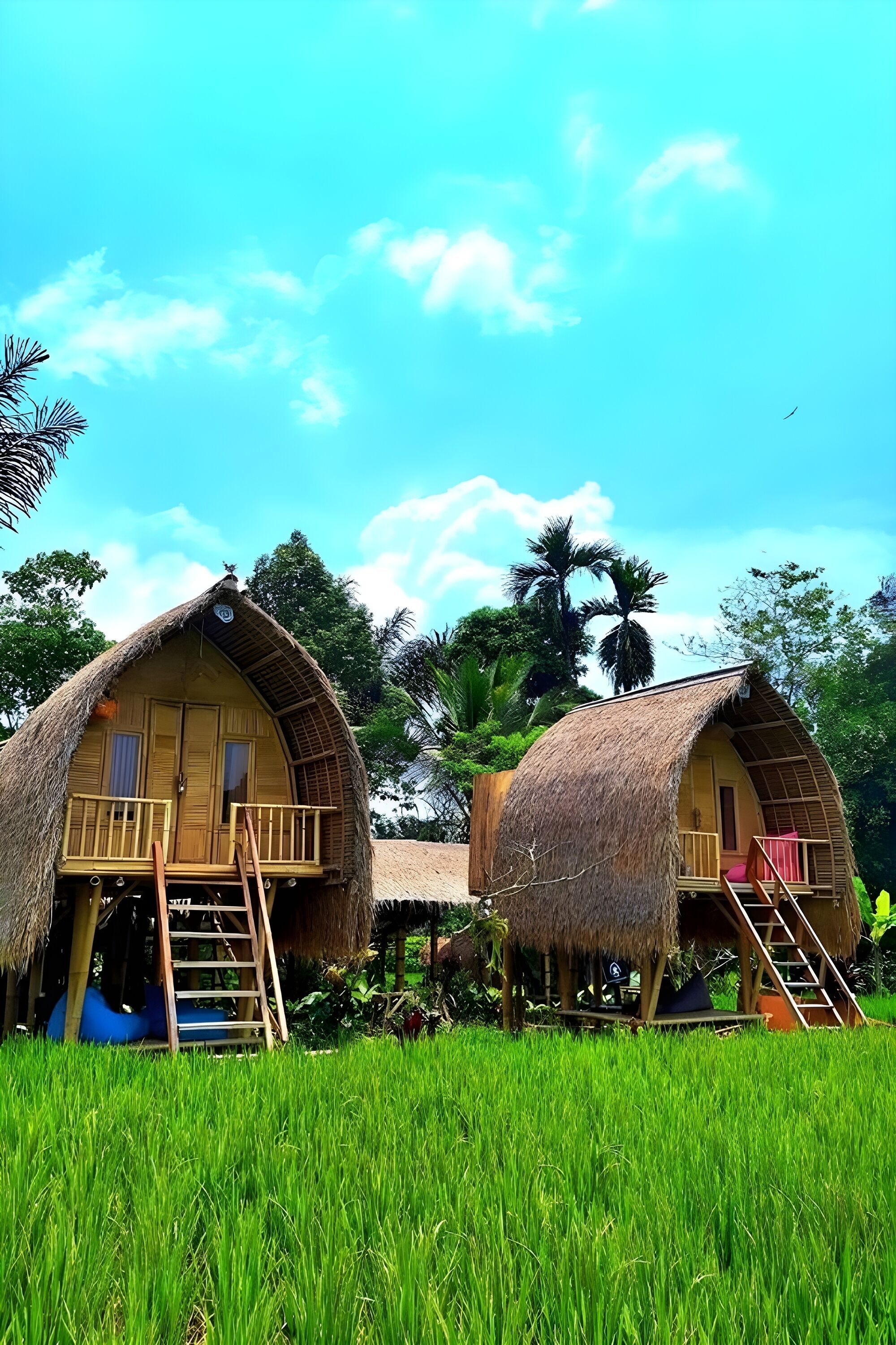 Two thatched-roof cottages with wooden balconies, set in a lush green field with palm trees in the background.