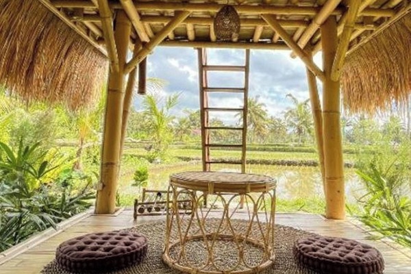 Double Room, Garden View | View from room
