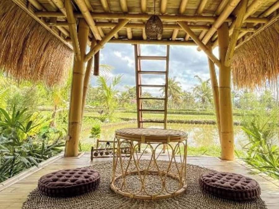 Double Room, Garden View | View from room