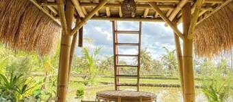 Tiny ECO Bamboo Ubud