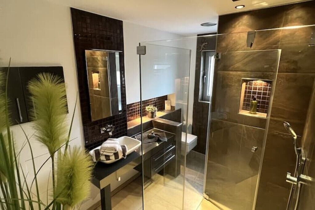 Shower, hair dryer