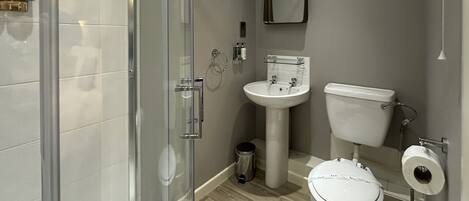 A modern bathroom with a glass shower enclosure, a pedestal sink, a toilet, and a mirror on the wall.