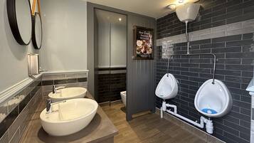 A modern bathroom with two sinks, a mirror, a toilet, and a urinal.