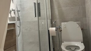 A modern bathroom with a glass-enclosed shower, a toilet, and a sink.