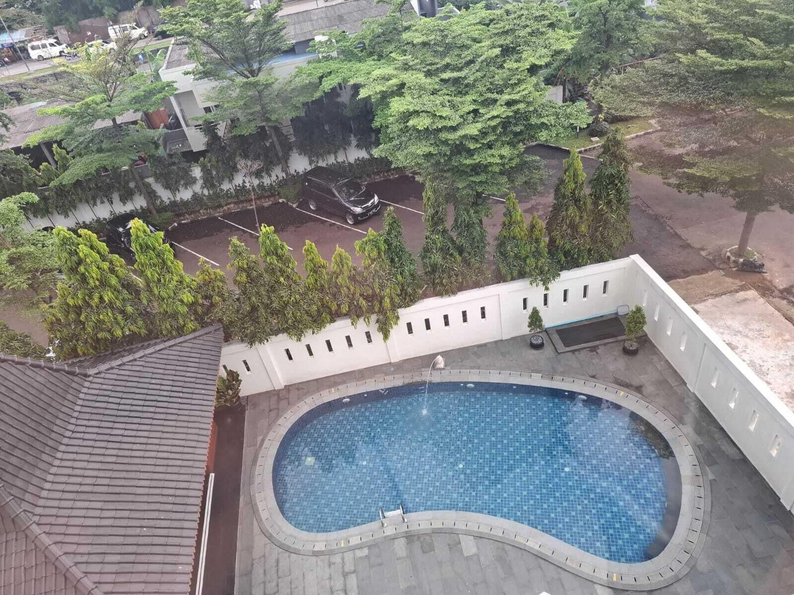 A rooftop swimming pool with a tiled deck, surrounded by trees and a white wall.