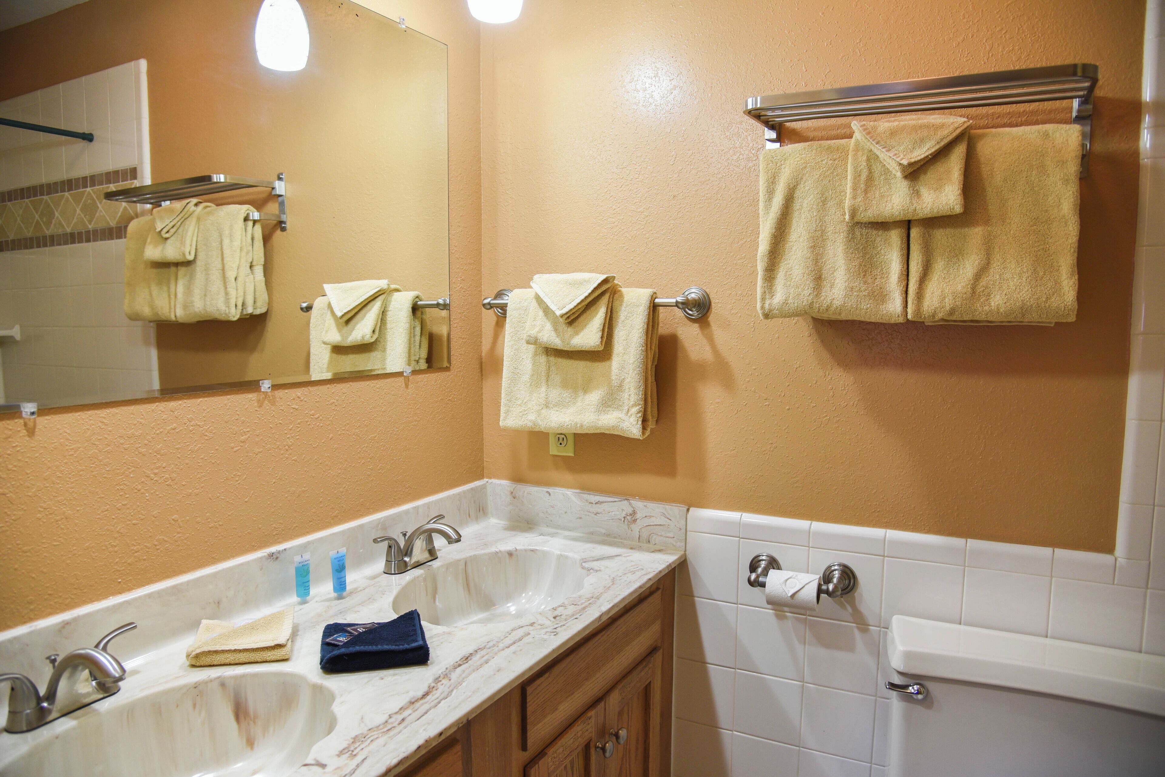 Hair dryer, towels, shampoo