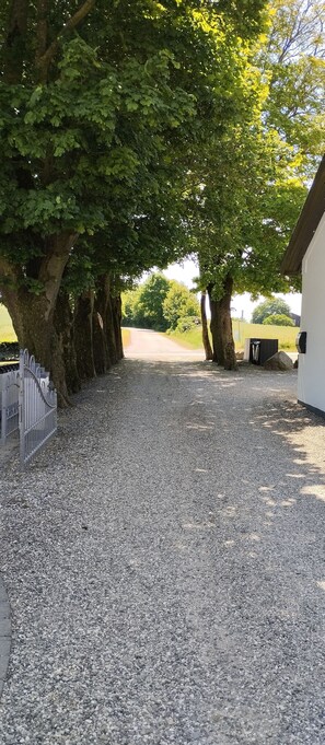 A gravel path lined with large trees, a metal fence, and a white building.