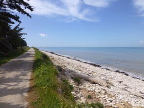 Plage, chaises longues