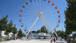 Ein großes Riesenrad mit zahlreichen Gondeln, umgeben von Bäumen und einem klaren Himmel.