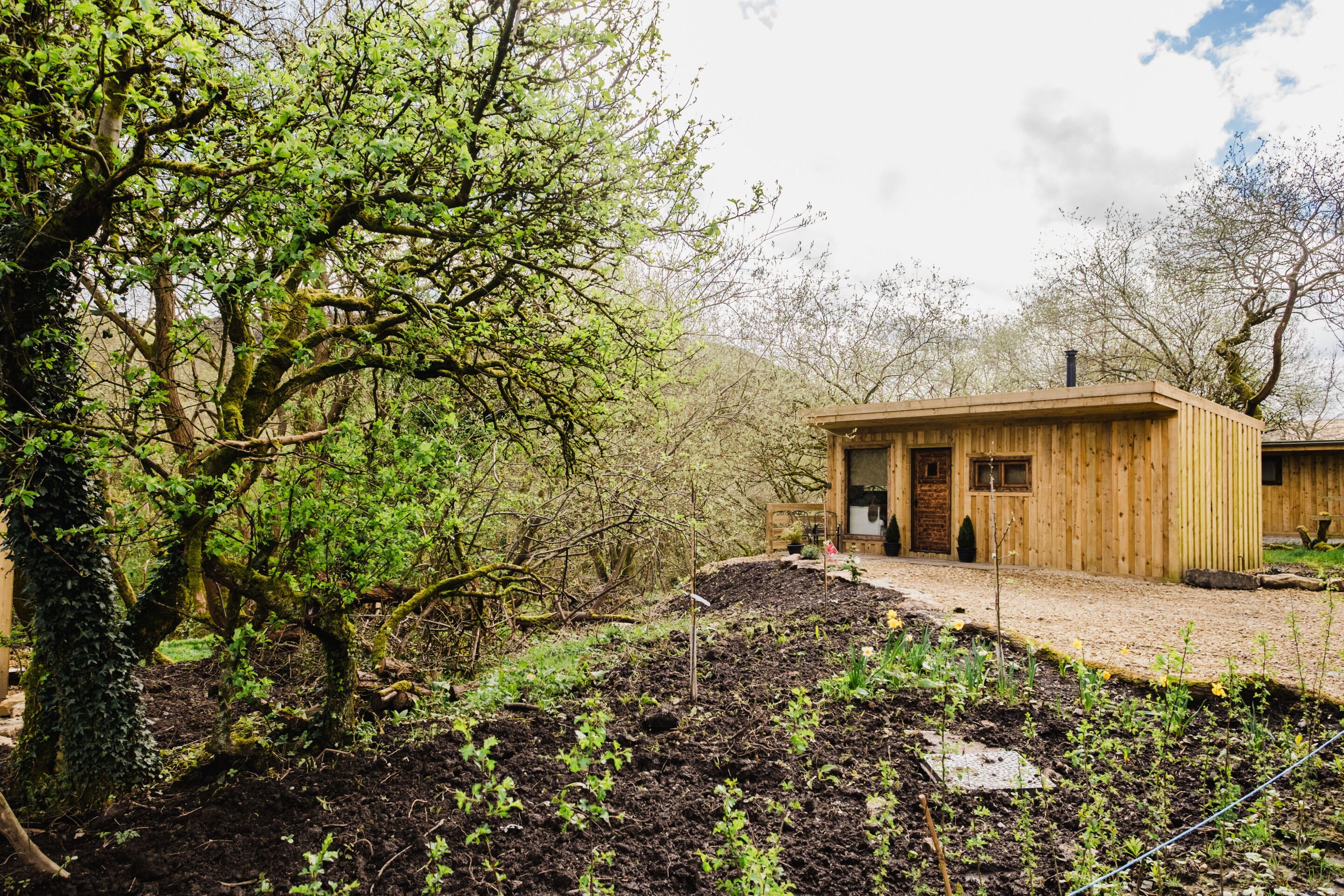 A wooden cabin with a dirt path leading to the entrance, surrounded by dense greenery and trees.