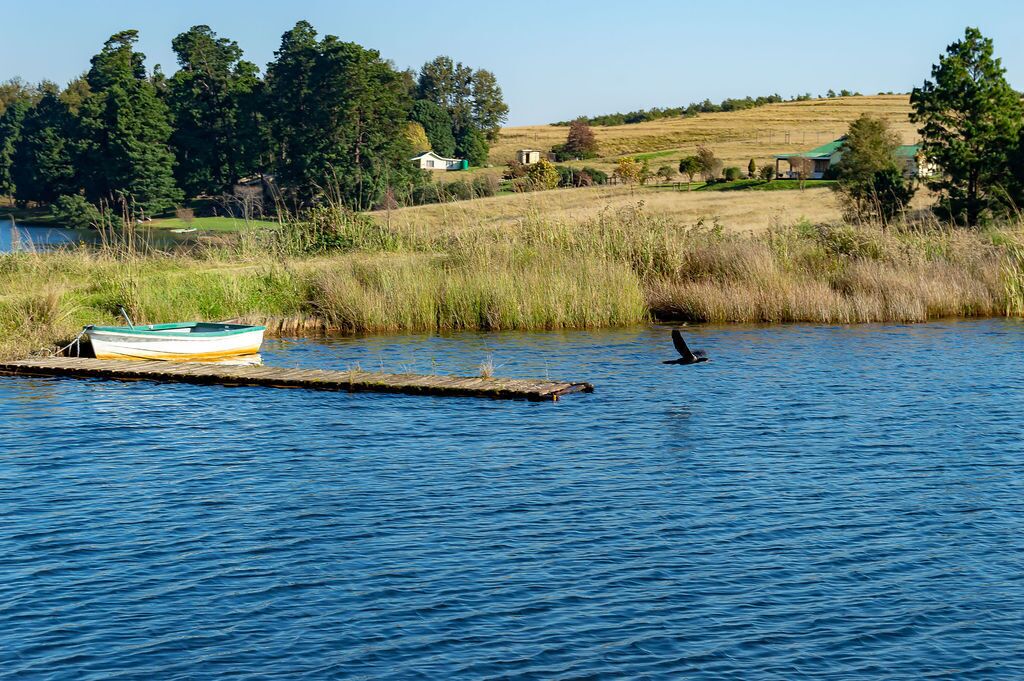 Un lac paisible, avec une petite barque amarrée à un quai en bois.