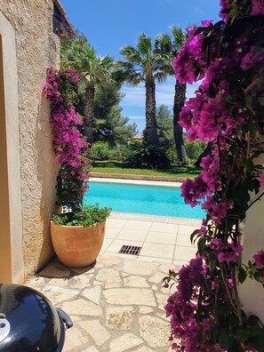 Outdoor pool - Charmant bas de Villa Proche de Sablettes (La Seyne-sur-Mer)